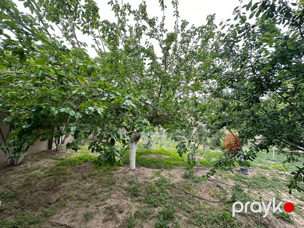 Satılır torpaq 7 sot — Torpaq, Bakı (7)