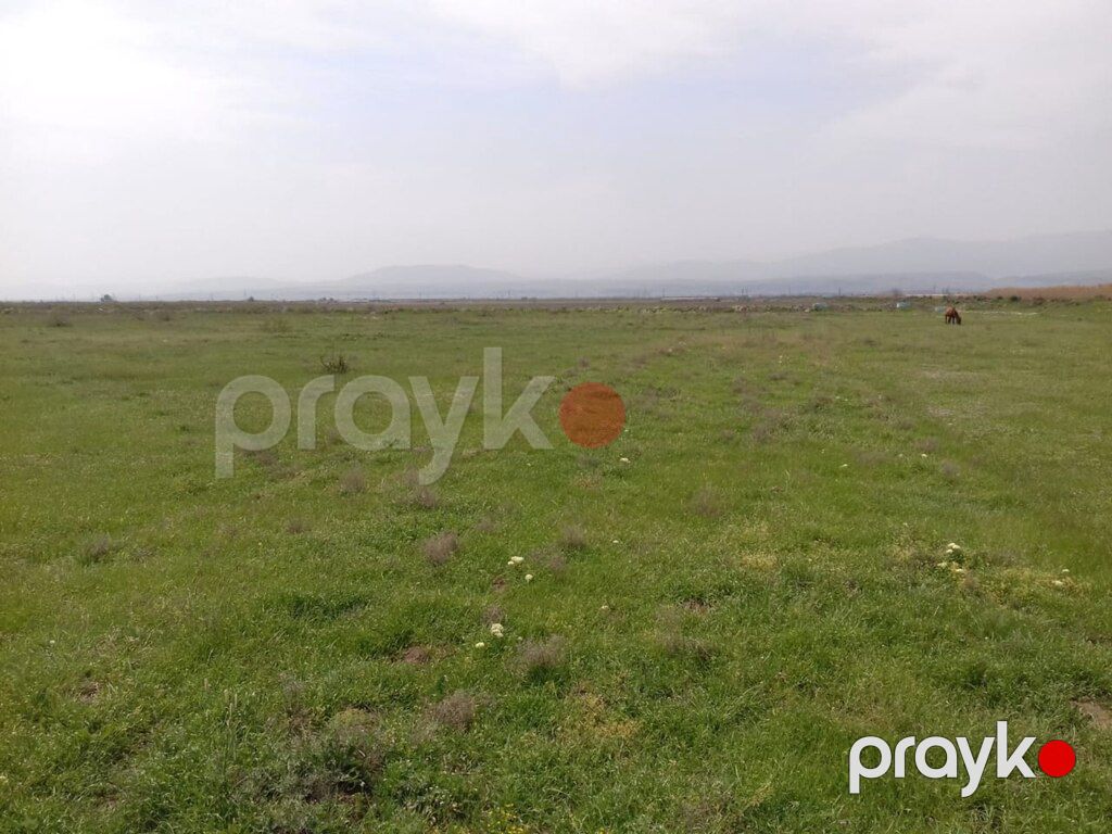 3000 sot torpaq sahəsi, Şabran r — Torpaq, Şabran (2)