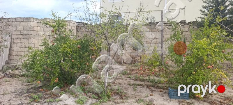 2 sot Torpaq, Satış, Bakı, Sabunçu, Koroğlu — Torpaq, Bakı (2)