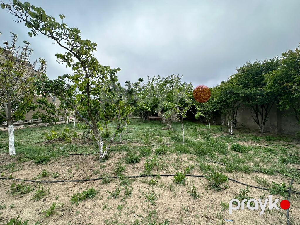 Satılır torpaq 7 sot — Torpaq, Bakı (3)