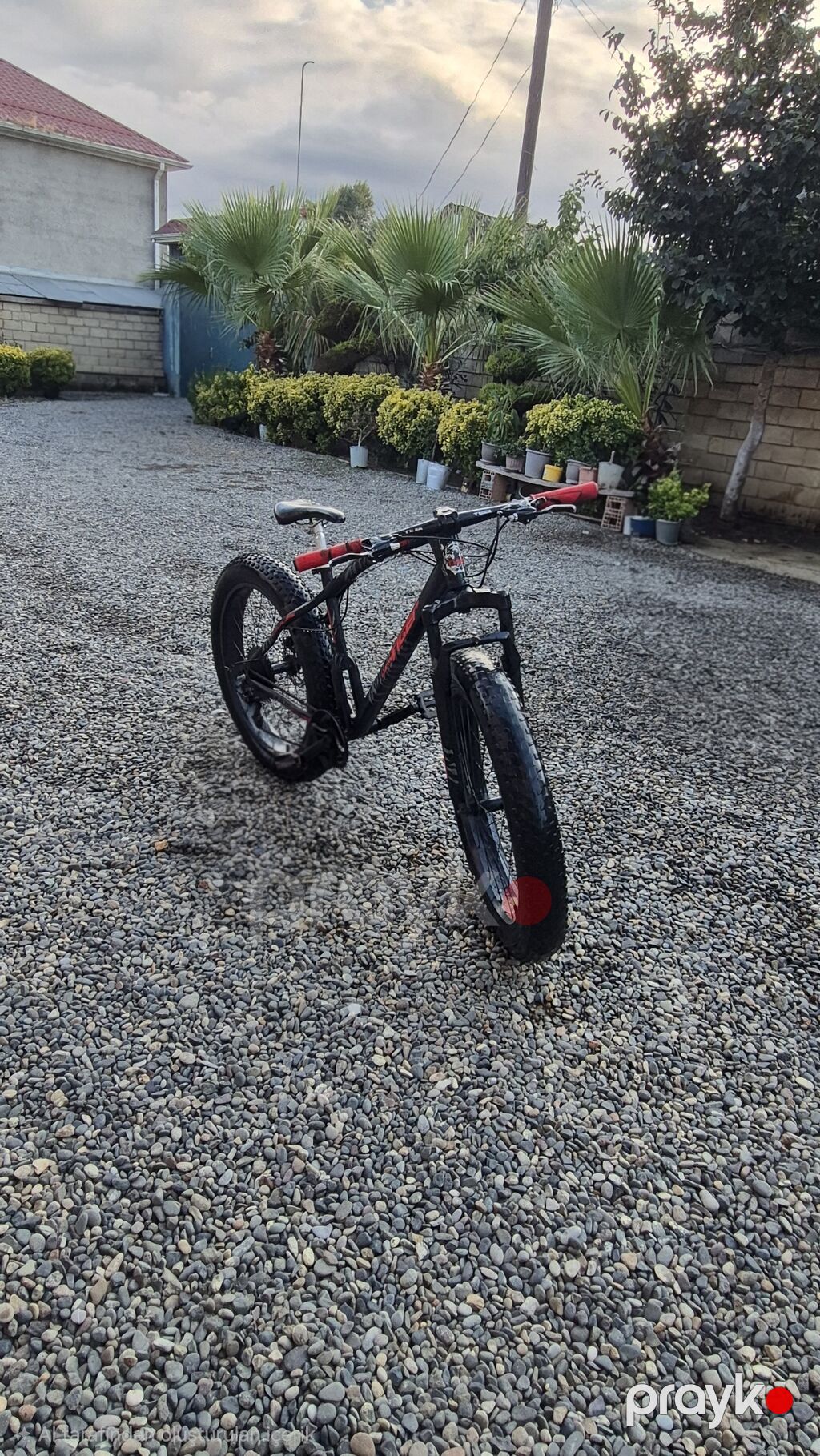 Salam nağd alıcıya endirim olacaq Fatbike tipli dağ velosipedi — Velosipedlər, Masallı (2)