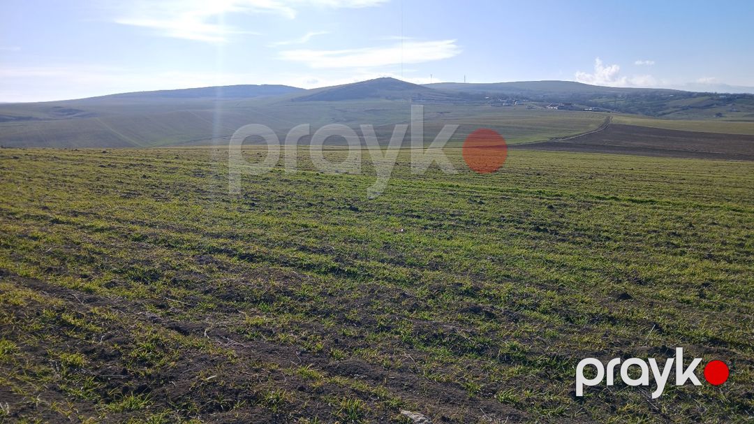 100 sot torpaq sahəsi, Qızmeydan kəndi — Torpaq, Şamaxı (9)
