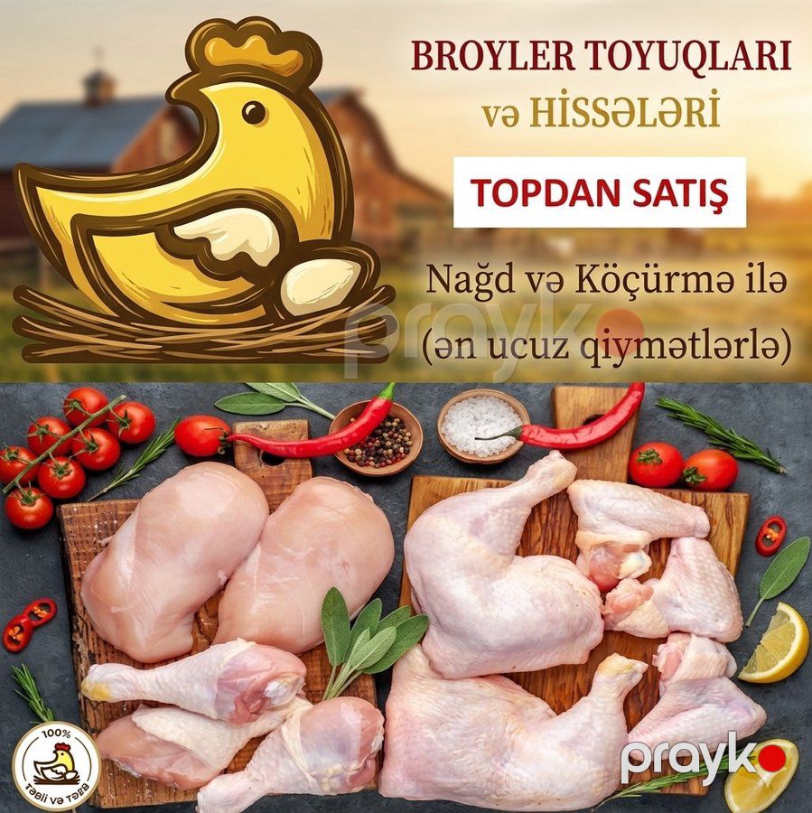 Broyler toyuqları və məhsulları — Ət və quş (5)