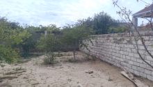 2 sot Torpaq, Satış, Bakı, Sabunçu, Koroğlu — Torpaq, Bakı (6)
