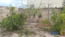 2 sot Torpaq, Satış, Bakı, Sabunçu, Koroğlu — Torpaq, Bakı (7)