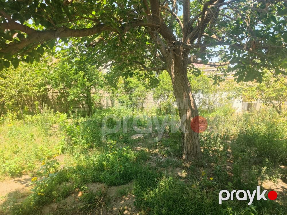 Satılır həyət evi, Yeni Corat q — Ev, villa (4)