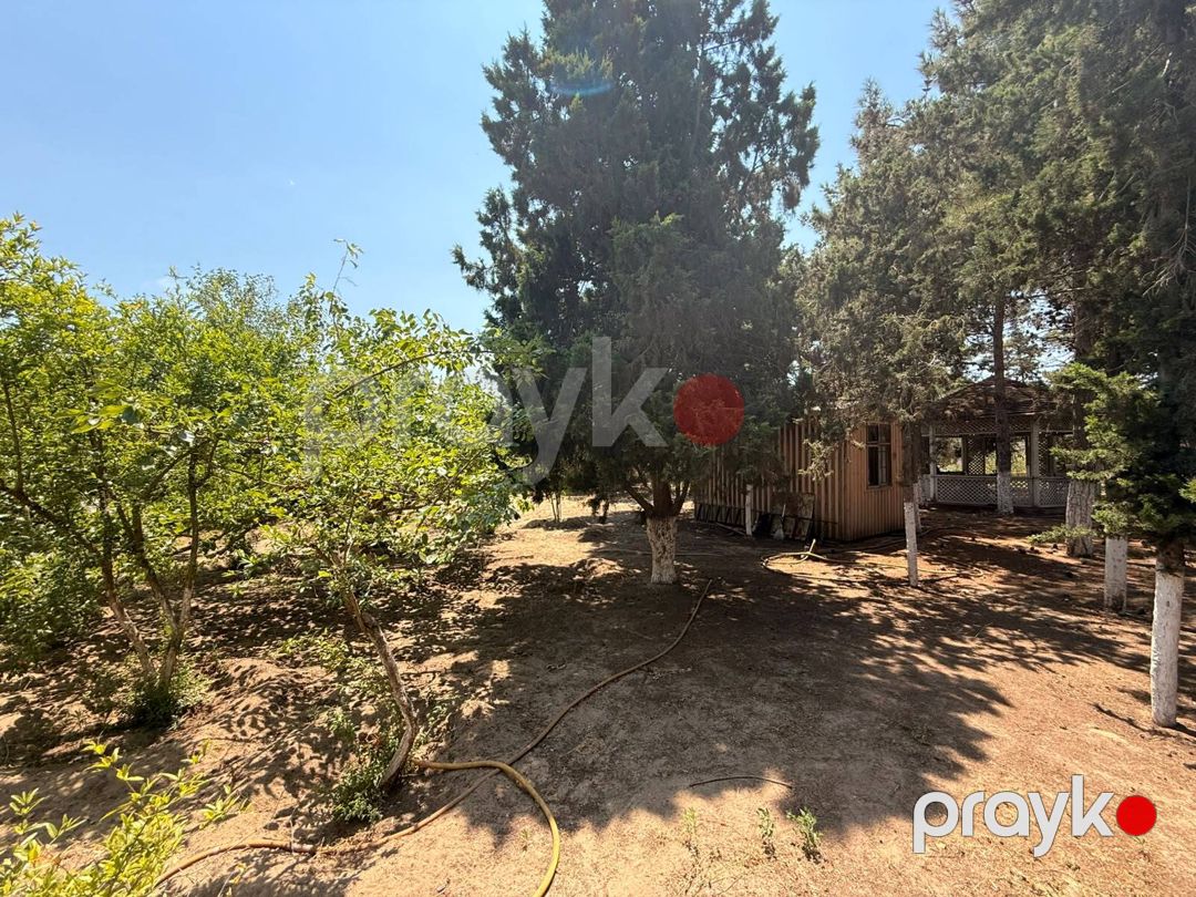 Satılır torpaq 8 sot — Torpaq, Bakı (4)