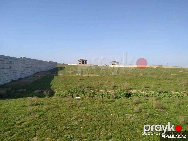 Abşeron rayonunda Torpaq Satılır, 26 sot — Torpaq, Bakı (4)