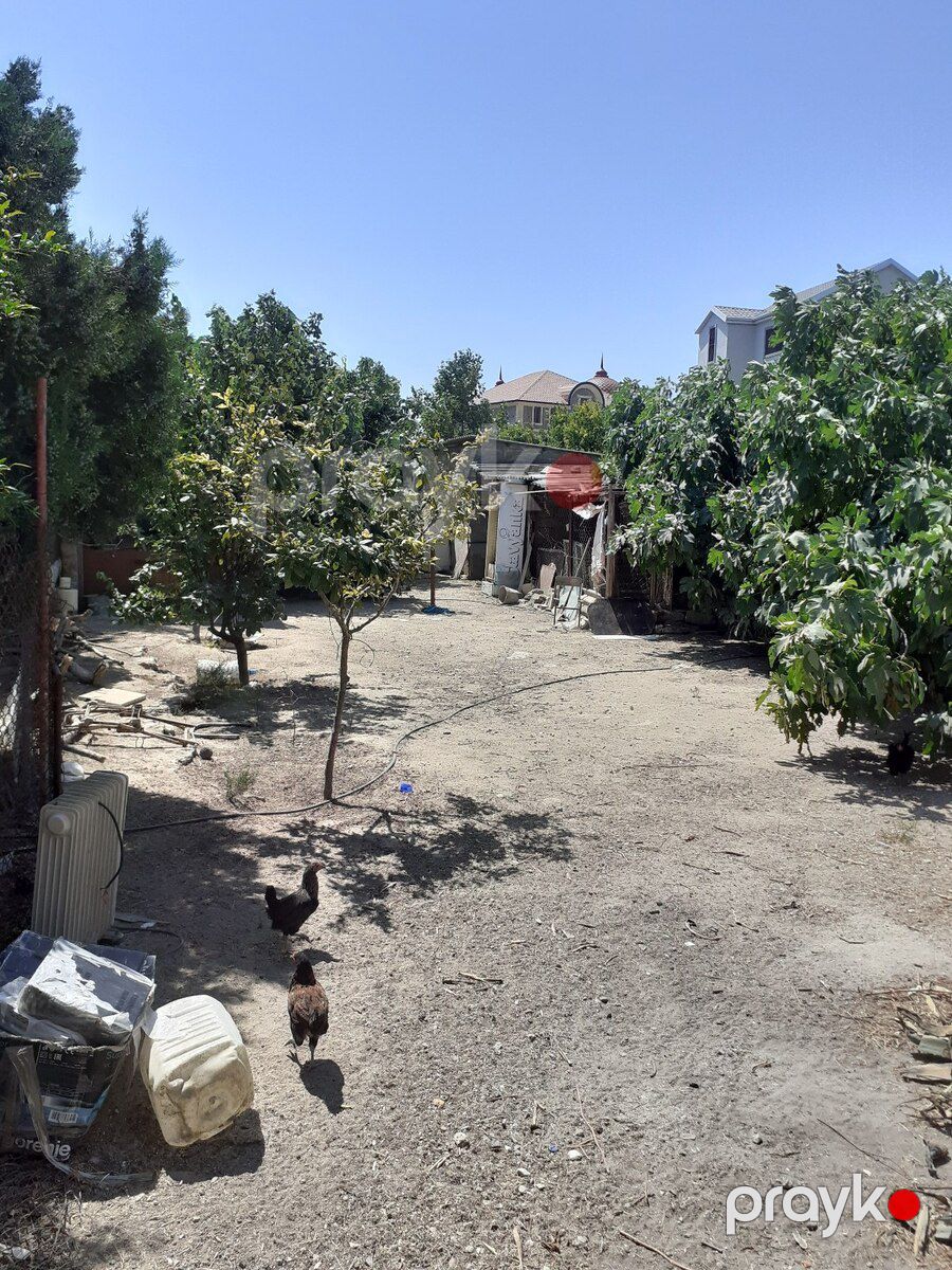 4 sot torpaq sahəsi, Albalılıq qəs — Torpaq, Bakı (4)
