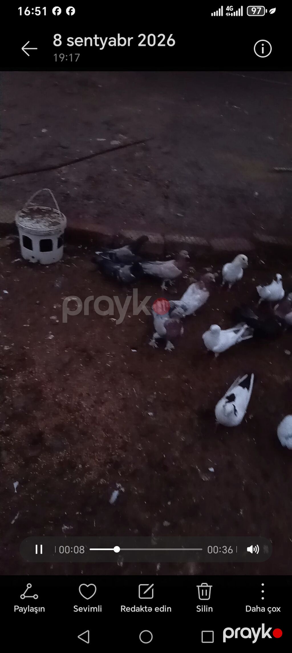 19 ededdı hamsı satılır rıyal alıcıyla razılawaram Ev — Göyərçin, Sabirabad (2)