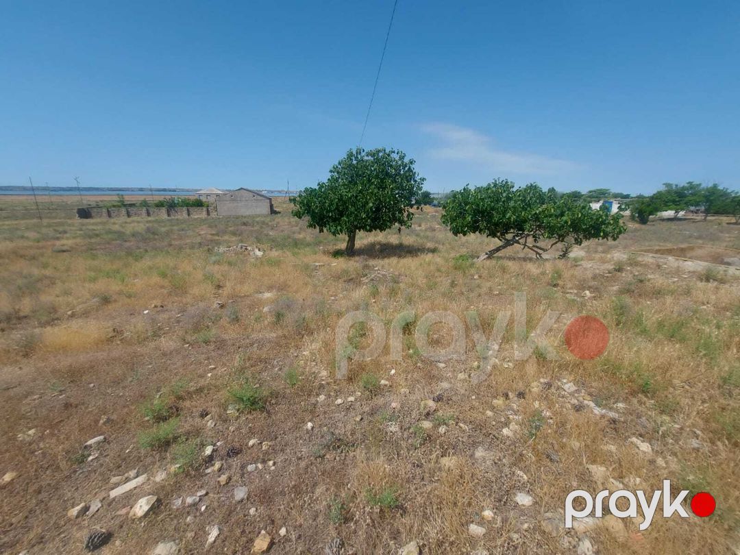 Satılır torpaq 12 sot — Torpaq, Bakı (3)