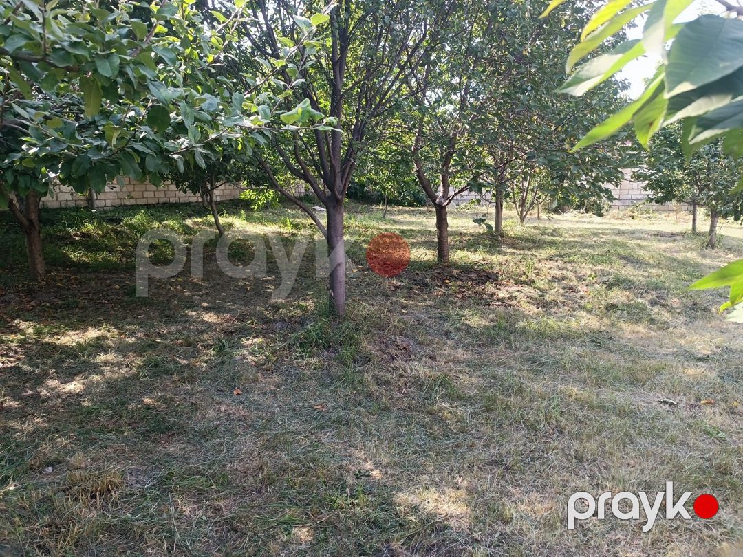 5 sot torpaq sahəsi, Quba r — Torpaq, Quba (2)