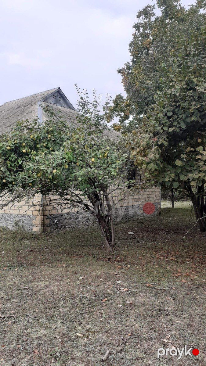 64 sot torpaq sahəsi, Qəbələ r., Nohurqışlaq kəndi — Torpaq, Qəbələ (6)
