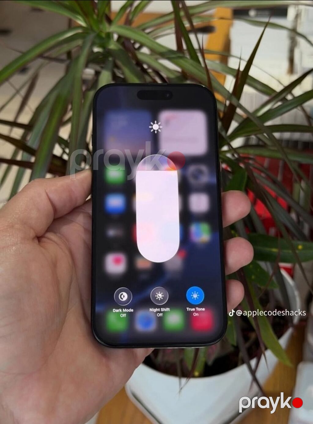 IPhone 16 Pro, 256 GB, Qara, Zəmanət, Barmaq izi, Face ID — Apple iPhone, Bakı (3)