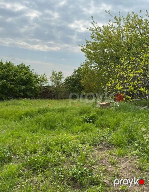 31 sot, Tikinti, Mülkiyyətçi, Kupça (Çıxarış) — Xaçmaz