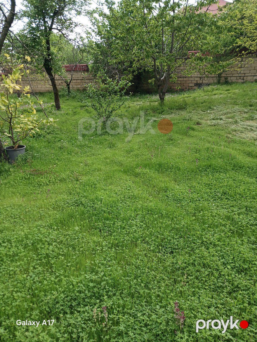 Satılır torpaq 5 sot — Torpaq, İsmayıllı (8)