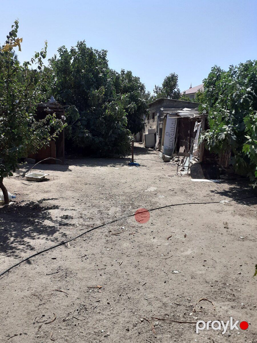 4 sot torpaq sahəsi, Albalılıq qəs — Torpaq, Bakı (2)