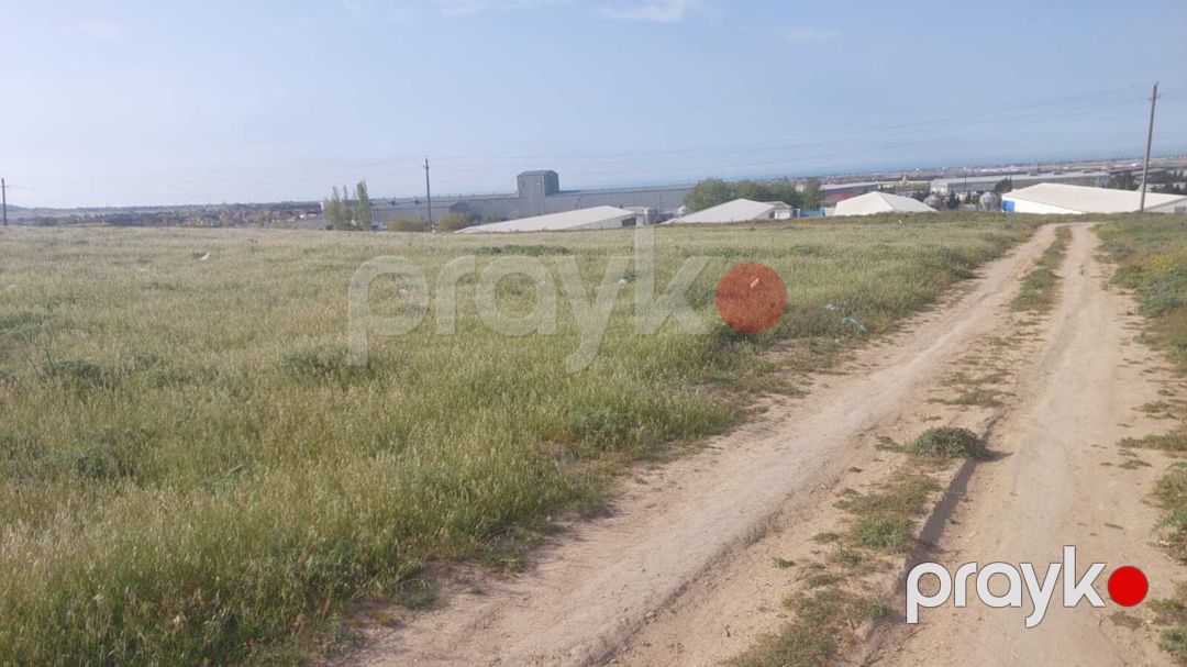 Satılır torpaq 22 sot — Torpaq, Bakı (3)