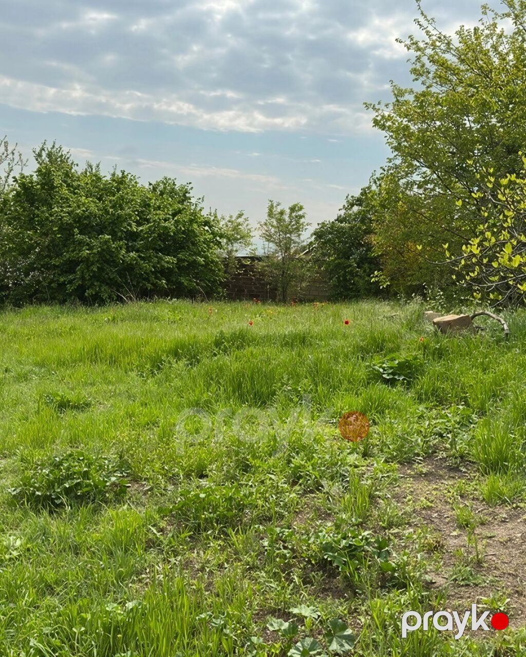 31 sot, Tikinti, Mülkiyyətçi, Kupça (Çıxarış) — Torpaq, Xaçmaz (3)