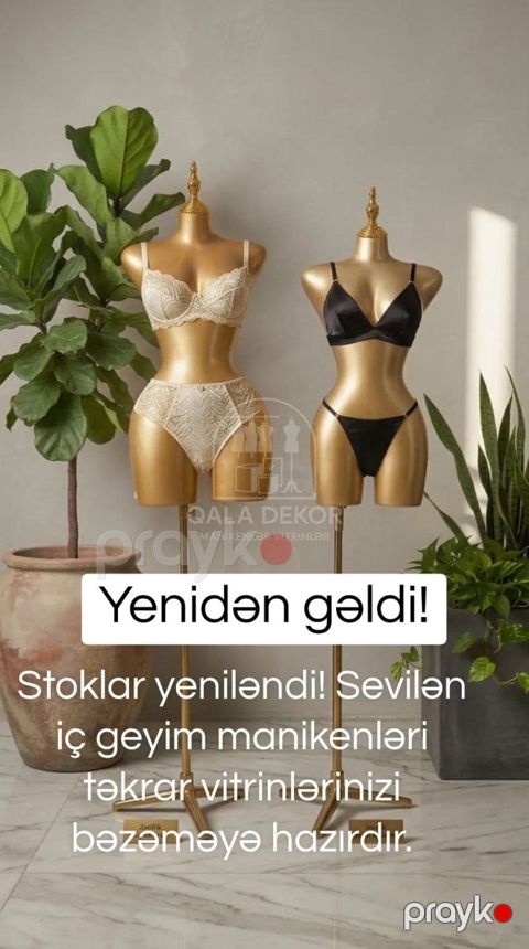 Busqalter Manikeni — Bakı