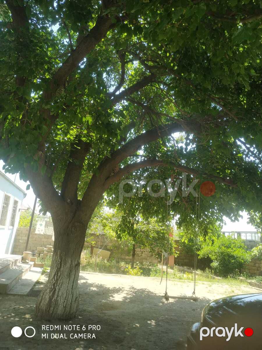 Satılır 4 otaqlı həyət evi/bağ evi 140 m² — Ev, villa, Bakı (8)