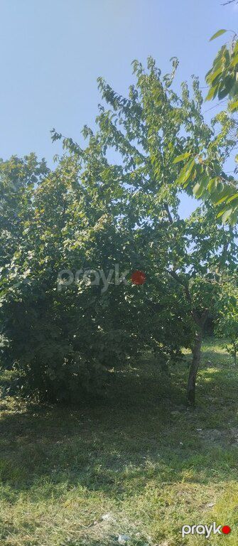 Həyət evi, Xaçmaz r — Ev, villa, Xaçmaz (7)