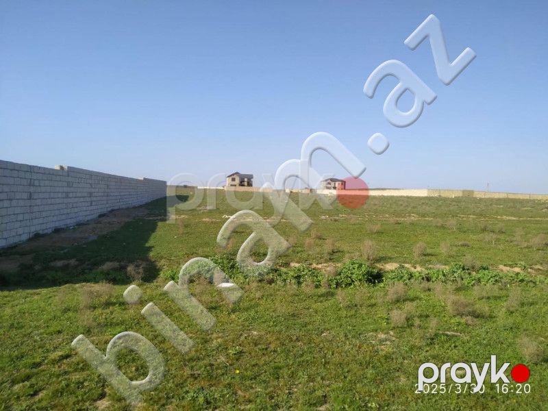 26 sot Torpaq, Satış, Abşeron — Torpaq, Abşeron (2)