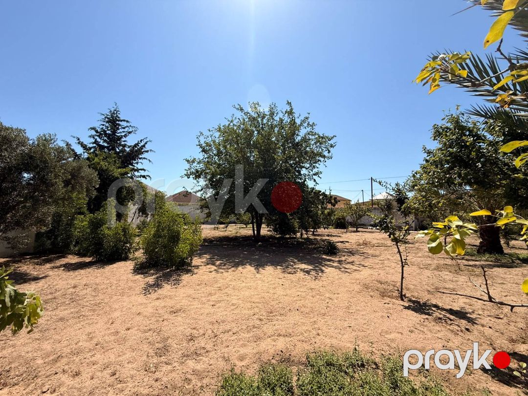 Satılır torpaq 5 sot — Torpaq, Bakı (7)