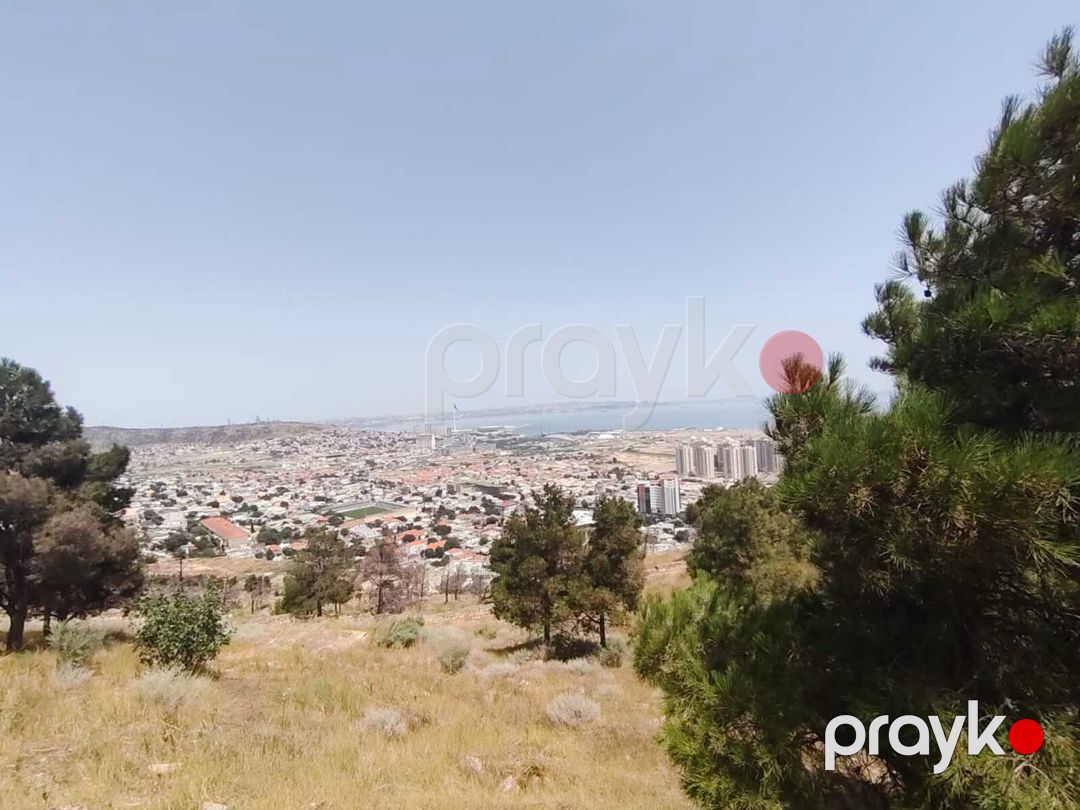 Satılır torpaq 6 sot — Torpaq, Bakı (2)