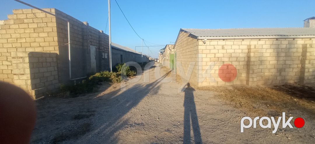 Bağ evi, Yaşma bağları — Ev, villa, Sumqayıt (2)