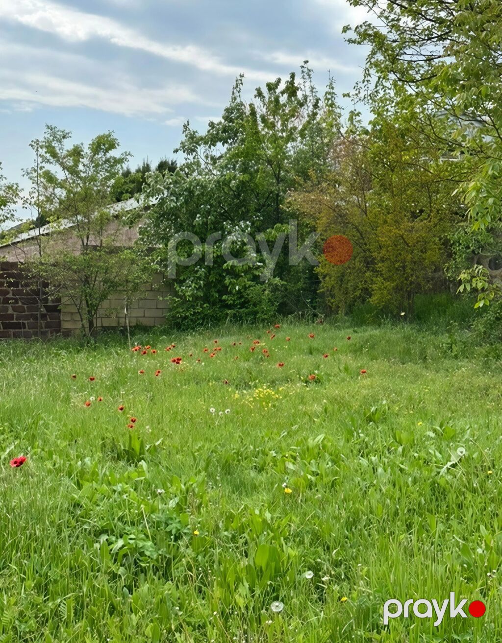 31 sot, Tikinti, Mülkiyyətçi, Kupça (Çıxarış) — Torpaq, Xaçmaz (6)