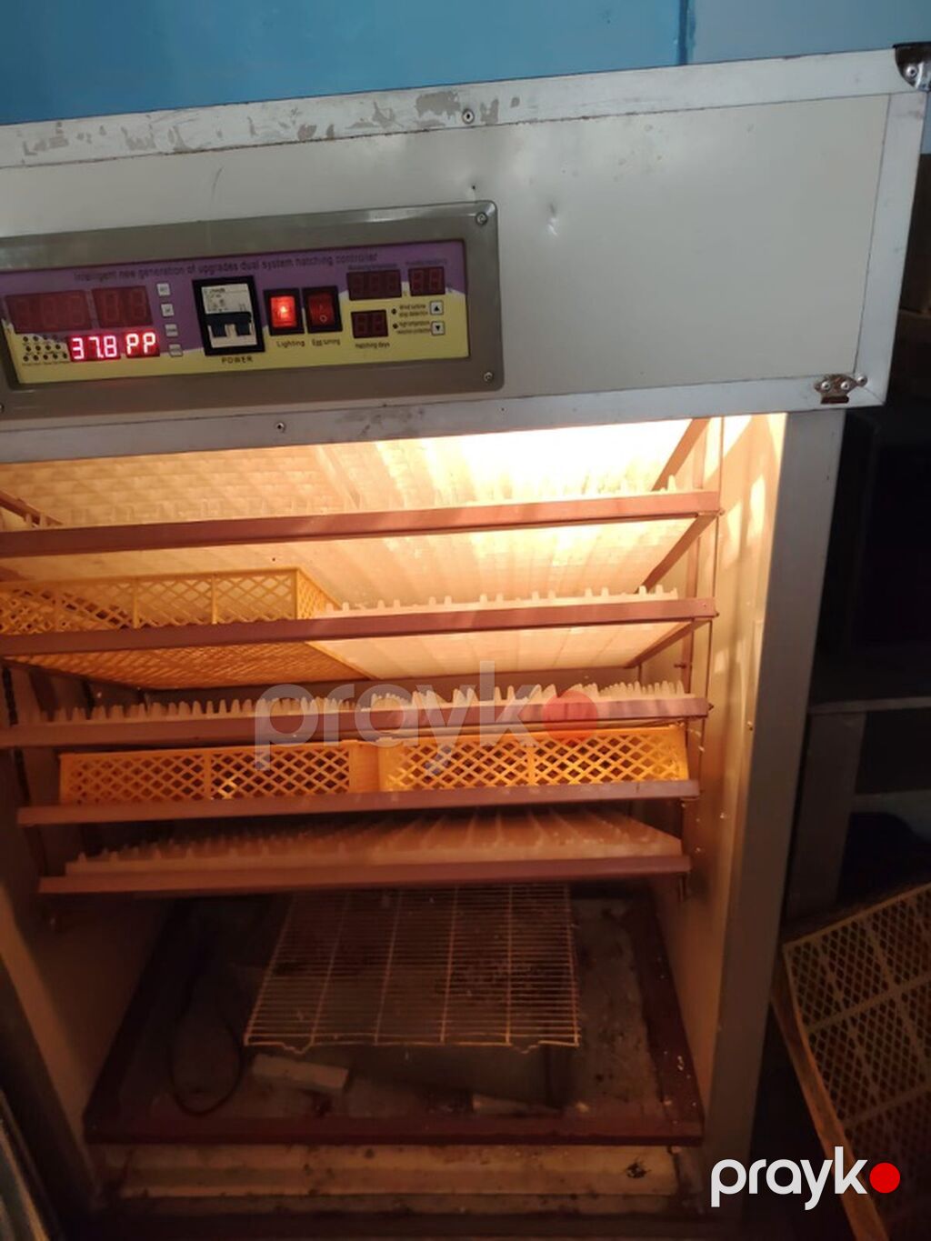Bütün növ quşlar üçün — Kənd təsərrüfatı avadanlığı, Bakı (8)