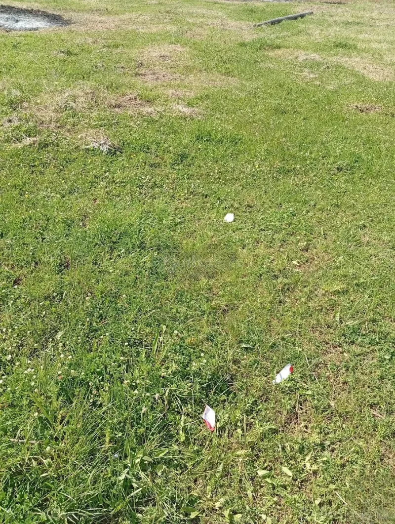 Satılır Torpaq 12 sot İsmayıllı — Torpaq, İsmayıllı (4)