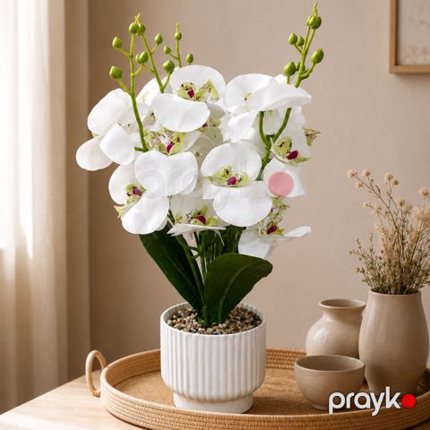 Süni dekorativ orxideya — Bakı