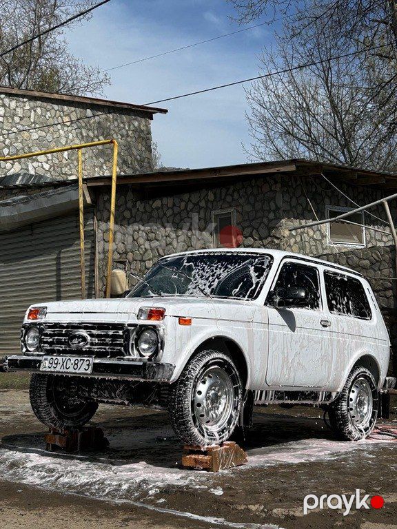 Lada (VAZ) Niva, 1.7 L, 2003 il, 172 000 km — Avtomobillər, İsmayıllı (4)
