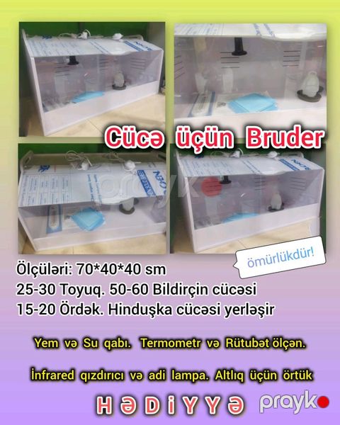 Ömürlük qəfəs