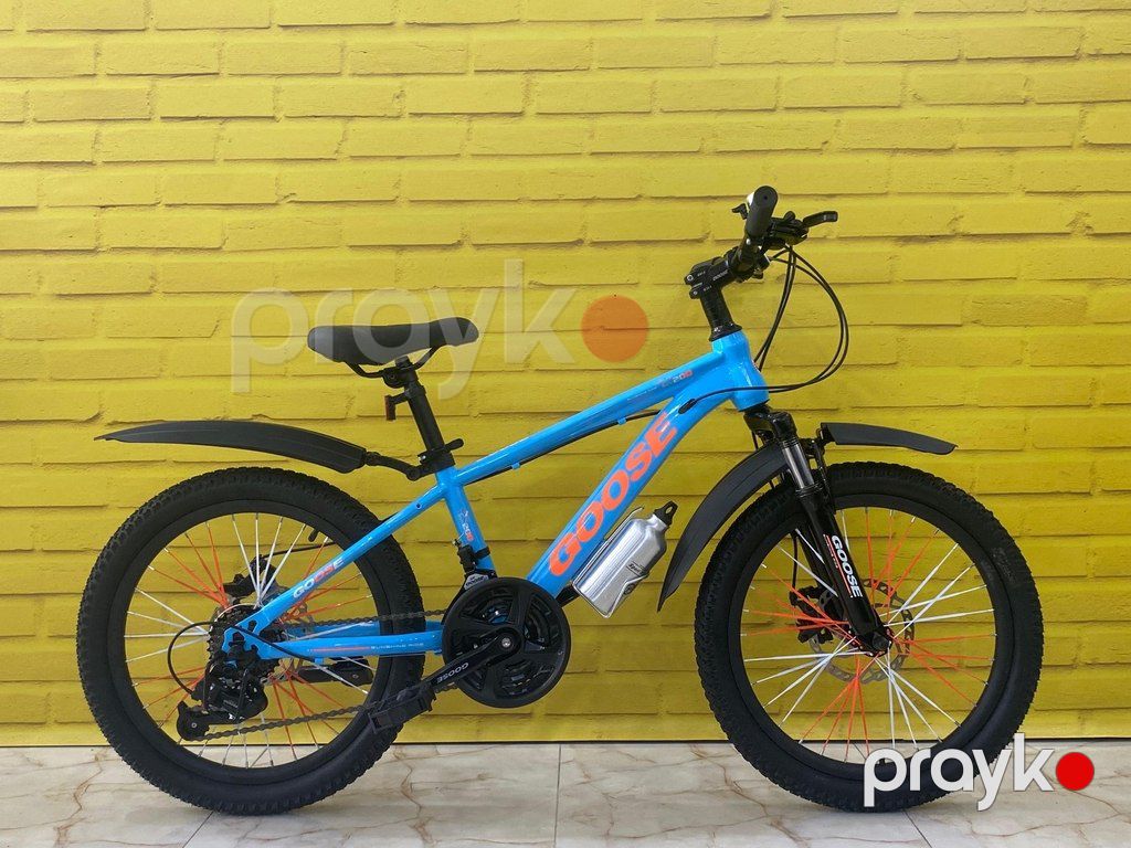Velosiped "Goose 20" — Velosipedlər, Bakı (3)