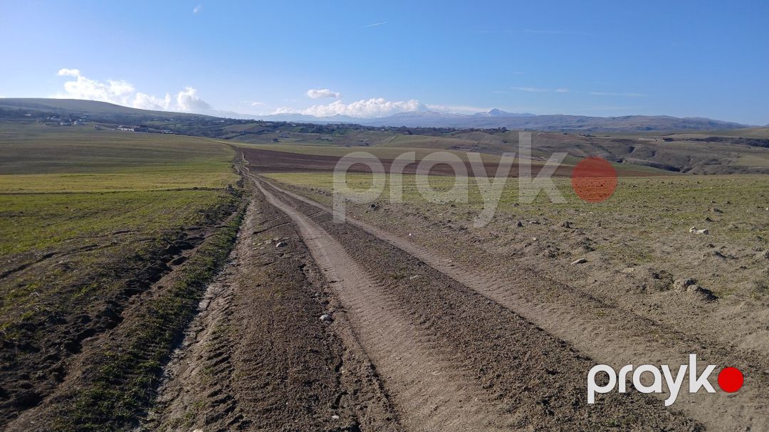 100 sot torpaq sahəsi, Qızmeydan kəndi — Torpaq, Şamaxı (10)