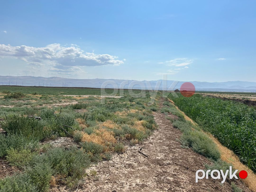 Satış: Torpaq, 511 sot, Xızı rayonu — Torpaq (6)