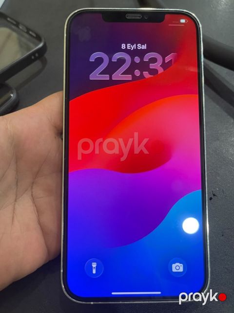 Apple iPhone 12 Pro Max Silver 256GB/6GB — Bakı