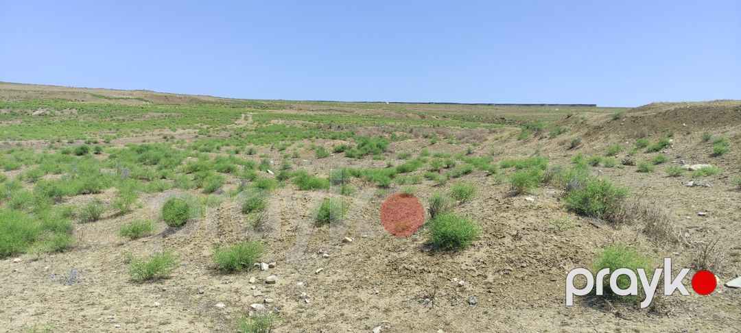 Satılır torpaq 81.5 sot — Torpaq, Bakı (11)