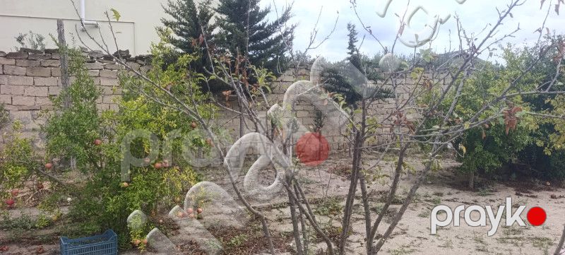 2 sot Torpaq, Satış, Bakı, Sabunçu, Koroğlu — Torpaq, Bakı (5)