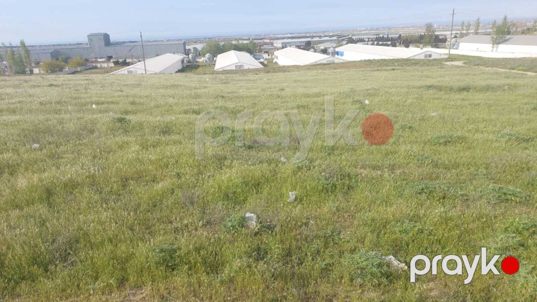 Satılır torpaq 22 sot — Torpaq, Bakı (6)