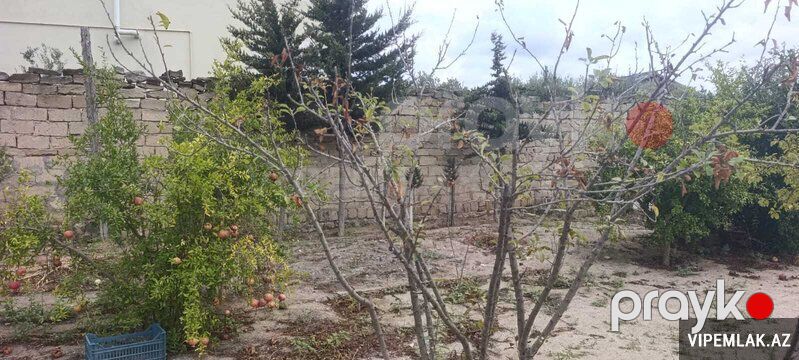 Sabunçu rayonunda Torpaq Satılır, 3 sot — Torpaq, Bakı (4)