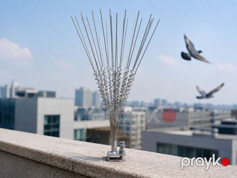 Quş qovan iynə Bu peşəkar quş qovan tikanlar binaların, eyvanların və — Bakı
