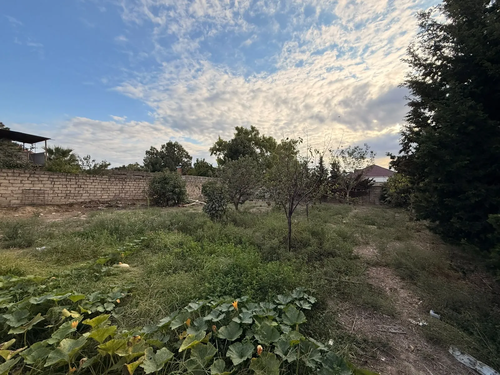 Mərdəkan, Torpaq satılır - 8 sot — Torpaq, Bakı (6)