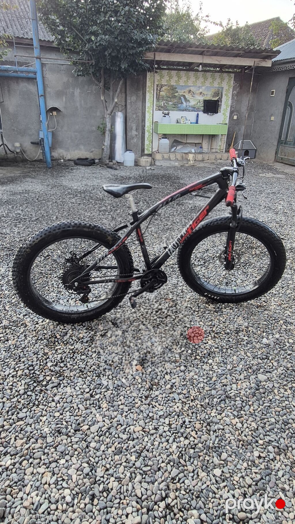Salam nağd alıcıya endirim olacaq Fatbike tipli dağ velosipedi — Velosipedlər, Masallı (5)