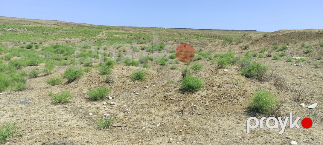Satılır torpaq 81.5 sot — Torpaq, Bakı (12)