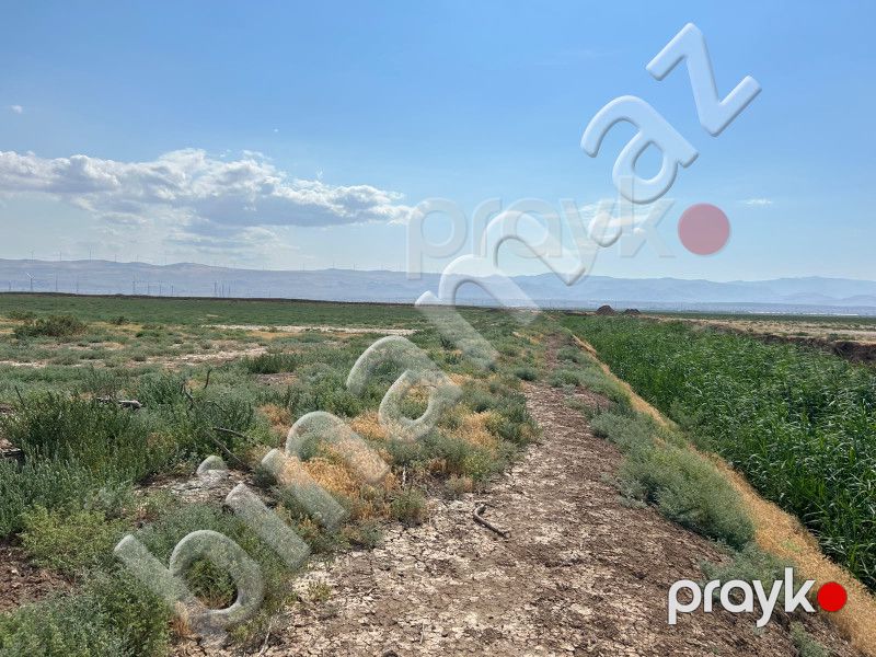 511 sot Torpaq, Satış, Xızı — Torpaq, Xızı (7)