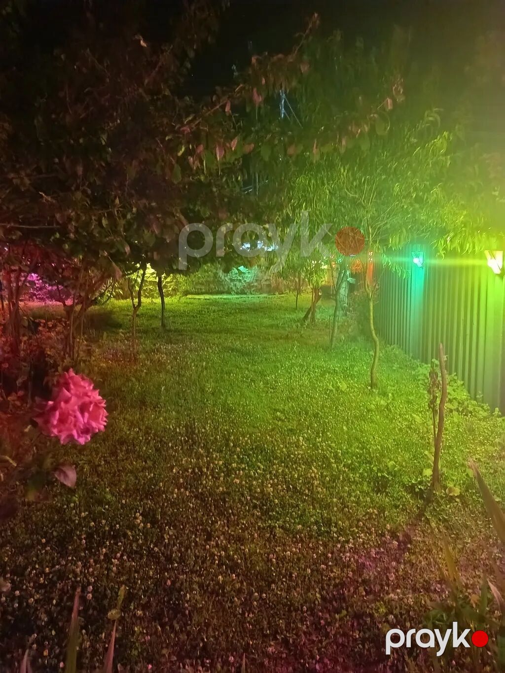 60 kv. m, 2 otaqlı, İnternet — Ev, villa, Qax (6)